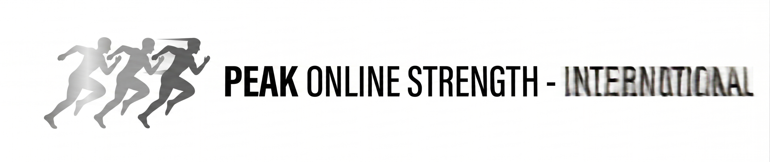 POS-INT_Logo