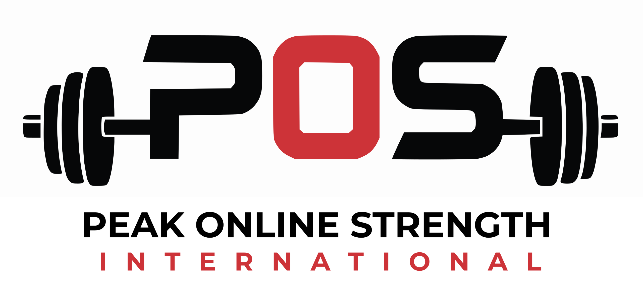 POS_INT-LOGO